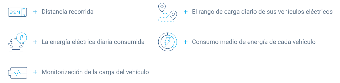 iconos que muestran la información que el Ayuntamiento de Madrid quería obtener de sus vehículos